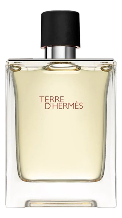 Hermes Terre D'Hermes Pour Homme 10624
