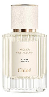 Chloe Atelier Des Fleurs Herba Mimosa 10620